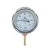 Термометр биметаллический радиальный Дк100 G1/2" 120С БТ-52.211 Росма